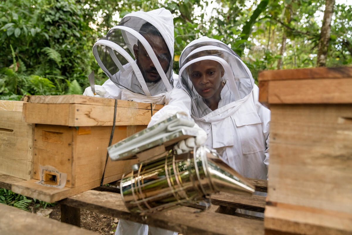 Beekeeping trainer Noah and Alison, smoking a hive during a training session in a remote community in Malaita Province. “After the session today I feel free, no longer afraid. I see this workshop as something families and relatives can really apply, and it can be an example for other villages.” Photo: Conor Ashleigh / Save the Children 